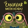 Sen Canar mısın Acaba?