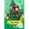 Sherlk Holmes - Kara Peter