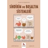 Sindirim ve Boşaltım Sistemleri - Gençler İçin Çizgilerle Bilim