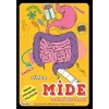 Süper Mide Ve Sindirim Sistemi