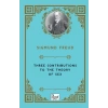 Three Contributions To The Theory of  (İngilizce)