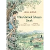 Ufku Görmek İsteyen Çuk