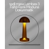 USB Şarjlı Dokunmatik LED Masa Lambası – 3 Renk Modu & Dimmer