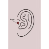 USLUCAN ALIŞVERİŞ 316L Çelik Gümüş Renk Zirkon Taşlı Tragus Piercing