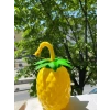 USLUCAN ALIŞVERİŞ Ananas Pipetli Suluk