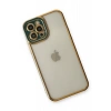 USLUCAN ALIŞVERİŞ Apple iPhone 12 Pro Max Kılıf Liva Lens Silikon - Yeşil