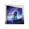 USLUCAN ALIŞVERİŞ Astro Canvas Tablo (50x70)