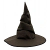 USLUCAN ALIŞVERİŞ Harry Potter Seçmen Şapkası Çocuk Boy