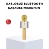 USLUCAN ALIŞVERİŞ Karaoke Mikrofonu Bluetooth USB AUX Girişli Yankı Efektli