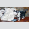 USLUCAN ALIŞVERİŞ Kediler ve Nota Defteri Kanvas Tablo 60 x 120