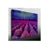 USLUCAN ALIŞVERİŞ Mor Çiçek Tarlası Canvas Tablo (50x70)
