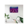 USLUCAN ALIŞVERİŞ Mor Çiçek Tarlası Canvas Tablo (50x70)