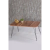 USLUCAN ALIŞVERİŞ Orta Sehpa Ve Zigon Sehpa Ceviz Set Tel Ayak Kr