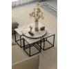 USLUCAN ALIŞVERİŞ Orta Sehpa Ve Zigon Sehpa Oval Lüx 5Li Set Efes