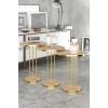USLUCAN ALIŞVERİŞ ORTA SEHPA VE ZİGON SEHPA TERRA SET GOLD ANTRASİT CEVİZ