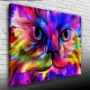 USLUCAN ALIŞVERİŞ Renk Paletindeki Kedi Kanvas Tablo 50 x 70