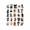 USLUCAN ALIŞVERİŞ Sevimli Köpek Çıkartmaları Laptop Notebook Tablet Sticker Seti