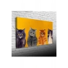 USLUCAN ALIŞVERİŞ Yavru Kediler Canvas Tablo (60x120)
