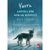 Yru Adında Bir Sokak Köpeği