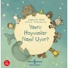 Yru Hayvanlar Nasıl Uyur?