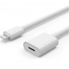 ZR81 Lightning Uzatma Kablosu 1 M