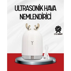 USLUCAN ALIŞVERİŞ El Tipi USB Mini Soğuk Mist Nemlendirici 220 ml Tank