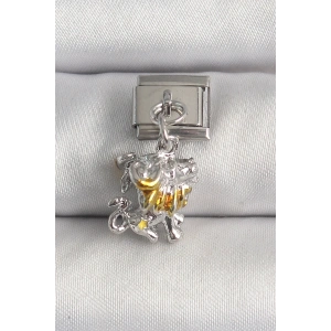 USLUCAN ALIŞVERİŞ 316L Çelik Gümüş Renk Sallantı Aslan Model Nomination Charm