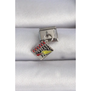 USLUCAN ALIŞVERİŞ 316L Çelik Gümüş Renk Sallantı Defter Figür Nomination Charm