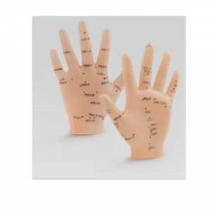 USLUCAN ALIŞVERİŞ Akupunktur EL Maketi