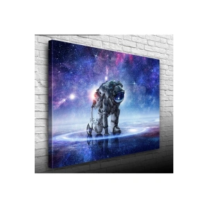 USLUCAN ALIŞVERİŞ Astro Canvas Tablo (50x70)
