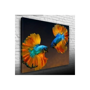 USLUCAN ALIŞVERİŞ Beta Balıkları Canvas Tablo (50x70)