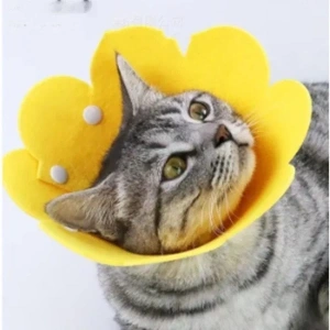 USLUCAN ALIŞVERİŞ Evcil Hayvan M Boy Keçe Elizabeth Yakalığı