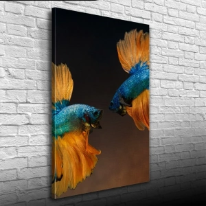 USLUCAN ALIŞVERİŞ İki Mavi Balık Kanvas Tablo 50 x 70