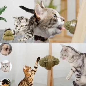 USLUCAN ALIŞVERİŞ Kedi Nanesi Oyun Topu