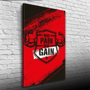 USLUCAN ALIŞVERİŞ No Pain No Gain Poster Kanvas Tablo 50 x 70