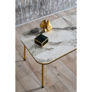 USLUCAN ALIŞVERİŞ Orta Sehpa Efes Kr Metal Ayak Çift Gold