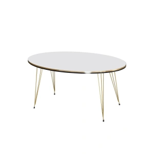 USLUCAN ALIŞVERİŞ Orta Sehpa Elips Çift Gold Beyaz Tel Ayak