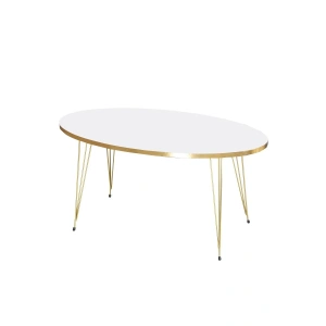 USLUCAN ALIŞVERİŞ Orta Sehpa Elips Gold Beyaz Tel