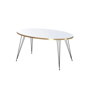 USLUCAN ALIŞVERİŞ Orta Sehpa Elips Siyah Tel Ayak Altın Beyaz