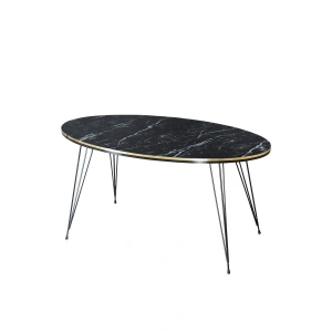 USLUCAN ALIŞVERİŞ Orta Sehpa Elips Siyah Tel Ayak Çift Altın Bendir