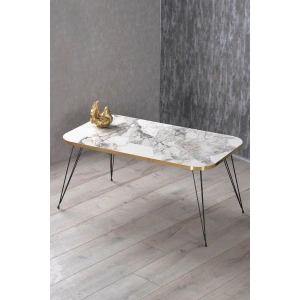 USLUCAN ALIŞVERİŞ Orta Sehpa Kr Siyah Tel Ayak Altın Efes