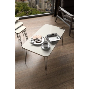 USLUCAN ALIŞVERİŞ Orta Sehpa Kr Siyah Tel Ayak Gümüş Krem