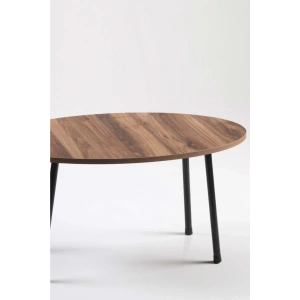 USLUCAN ALIŞVERİŞ Orta Sehpa Metal  Ayak Elips Ceviz