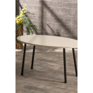 USLUCAN ALIŞVERİŞ Orta Sehpa Metal Ayak Elips Krem