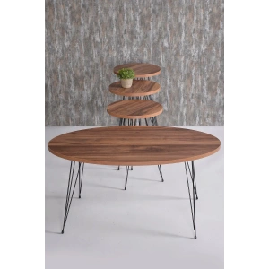 USLUCAN ALIŞVERİŞ Orta Sehpa Ve Zigon Sehpa Ceviz Set Tel Ayak Elips