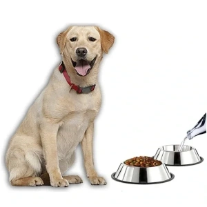 USLUCAN ALIŞVERİŞ Paslanmaz Çelik Metal Mama Kabı 34 cm.