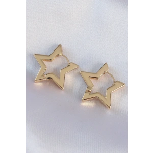 USLUCAN ALIŞVERİŞ Pirinç Gold Renk Yıldız Küpe