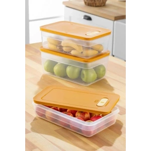 USLUCAN ALIŞVERİŞ Tupper Model - Vakumlu - Mikrodalga Buzluk Saklama Kabı 3,8LT