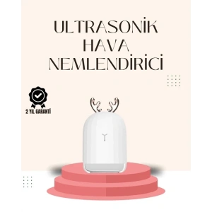 USLUCAN ALIŞVERİŞ USB Şarjlı Mini USB Nemlendirici LED Işıklı Masaüstü Cihaz