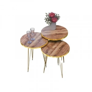 USLUCAN ALIŞVERİŞ Zigon Sehpa Gold Ceviz Tel 1099